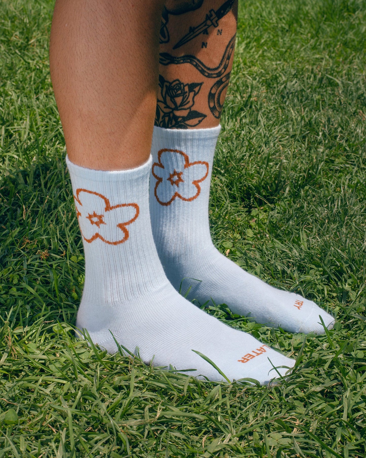 Chaussettes Try Later