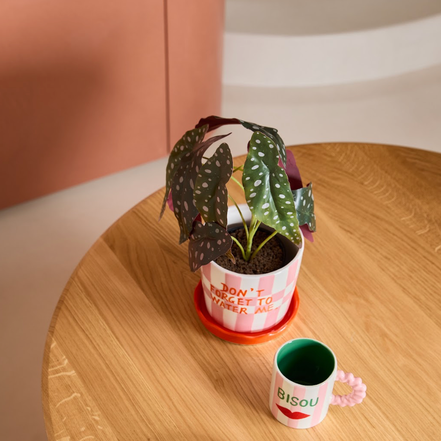 Pot Lior Don't Forget